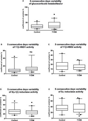 Altered Cortisol Metabolism Increases Nocturnal Cortisol Bioavailability in Prepubertal Children With Type 1 Diabetes Mellitus